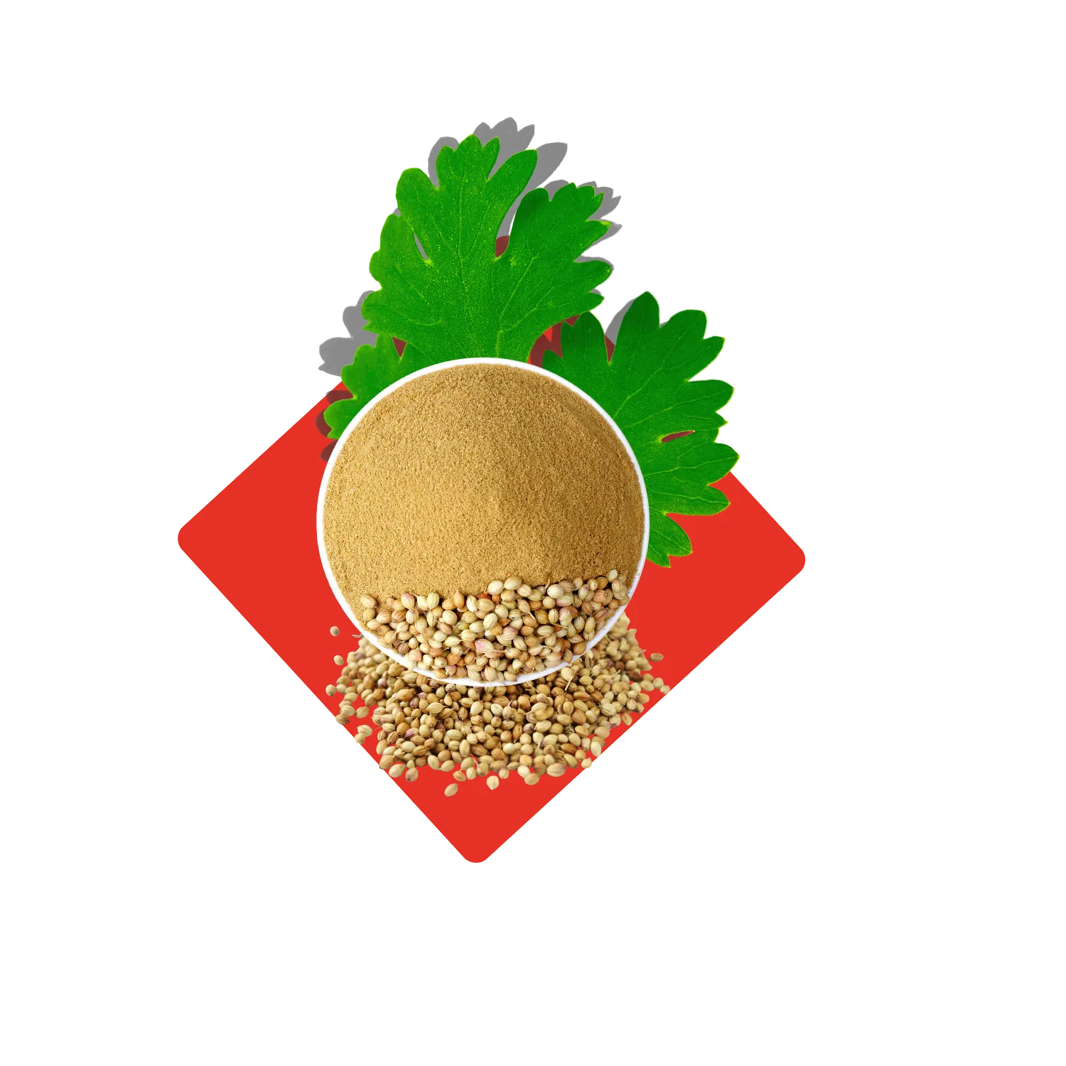 Coriander Powder